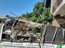 Best Appliance Removal  in Wenona, IL