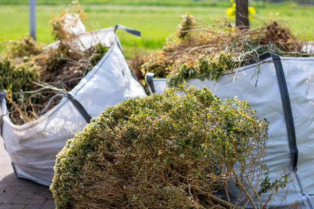 Best Demolition Debris Removal  in Wenona, IL